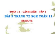 Bài 5 trang 72 SGK Toán 11 tập 1 Cánh Diều